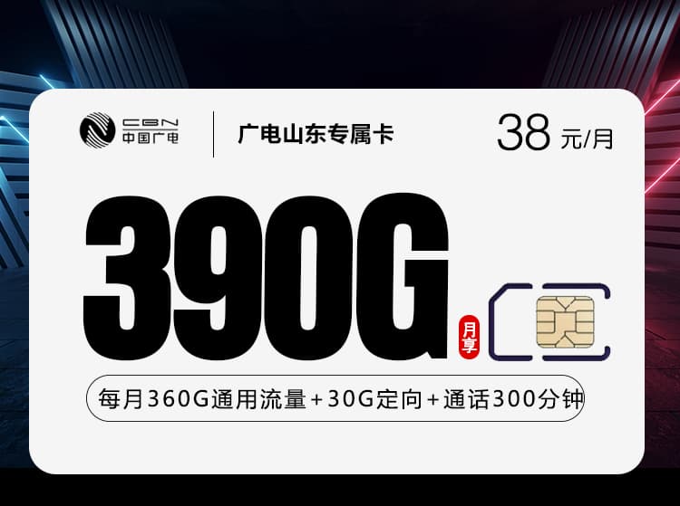 广电山东专属卡【38元390G+300分钟】