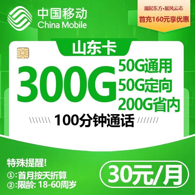 山东移动【30元300G+100分钟】