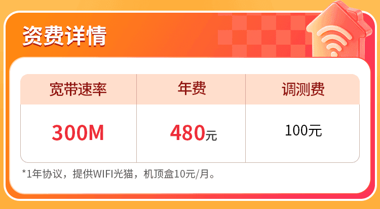 广西联通单宽【480元300M】 详情图 1