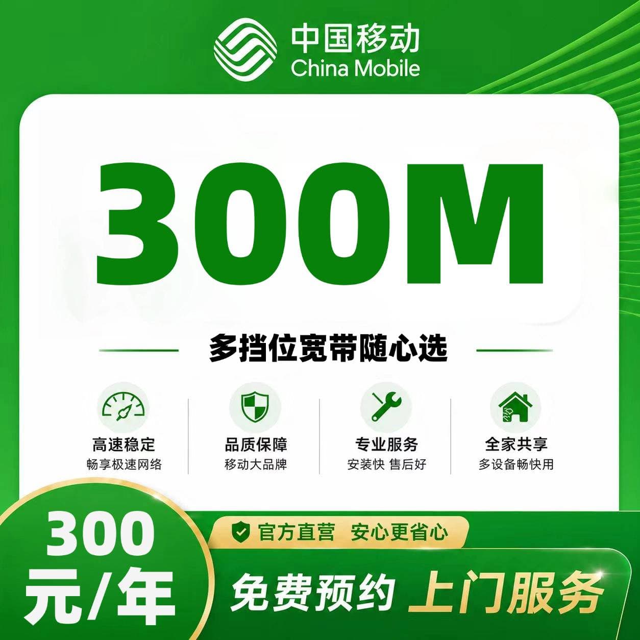 广西移动单宽【300元300M】