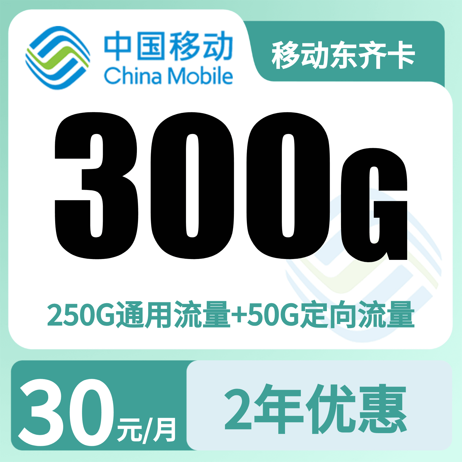 移动东齐卡30元300G+100分钟【只发山东】