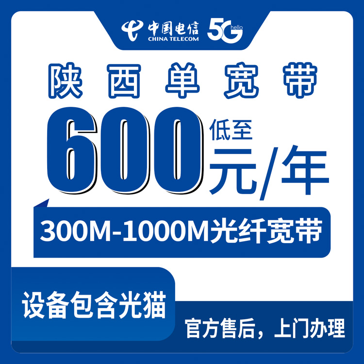 54236-电信陕西全省宽带卡