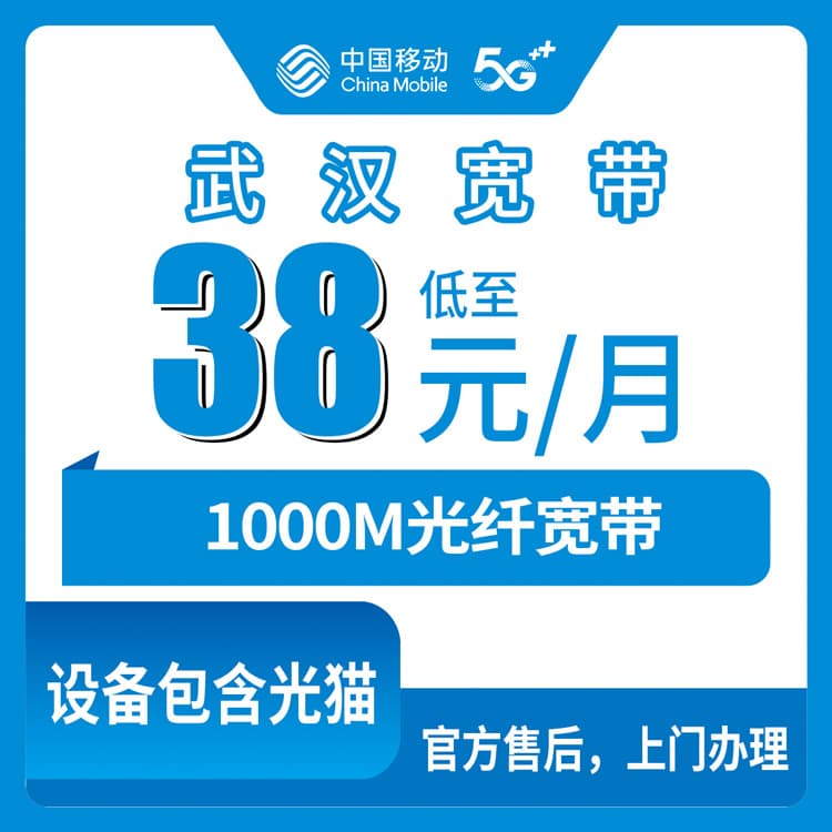 54356-移动湖北武汉宽带卡