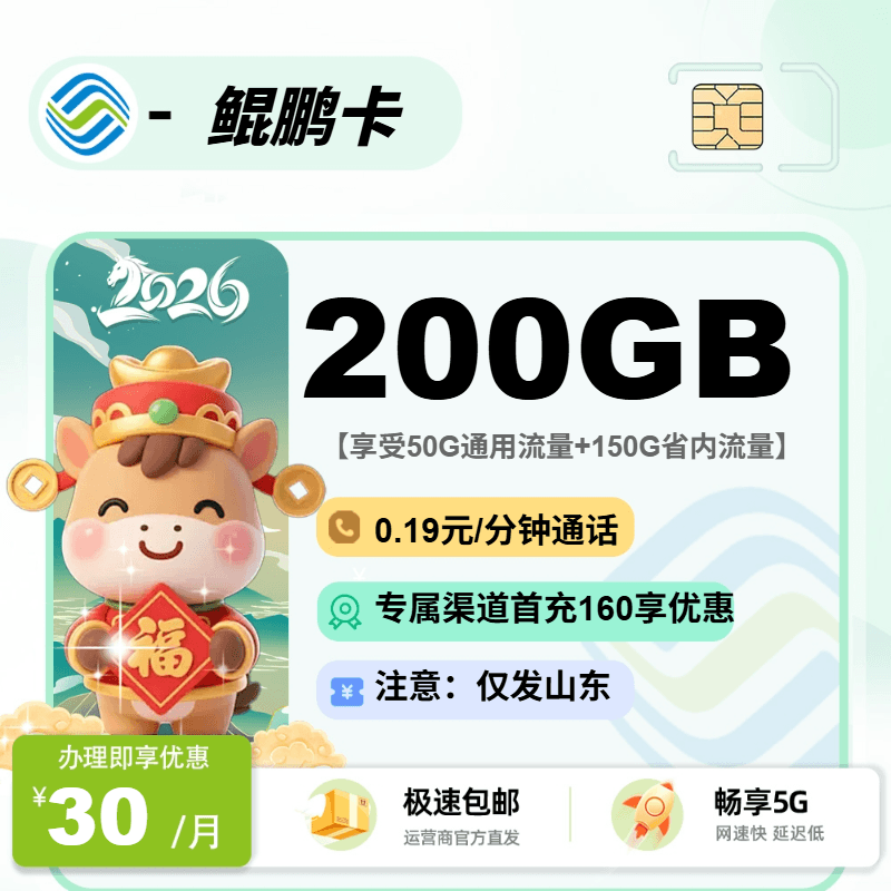 移动鲲鹏卡【山东省内】