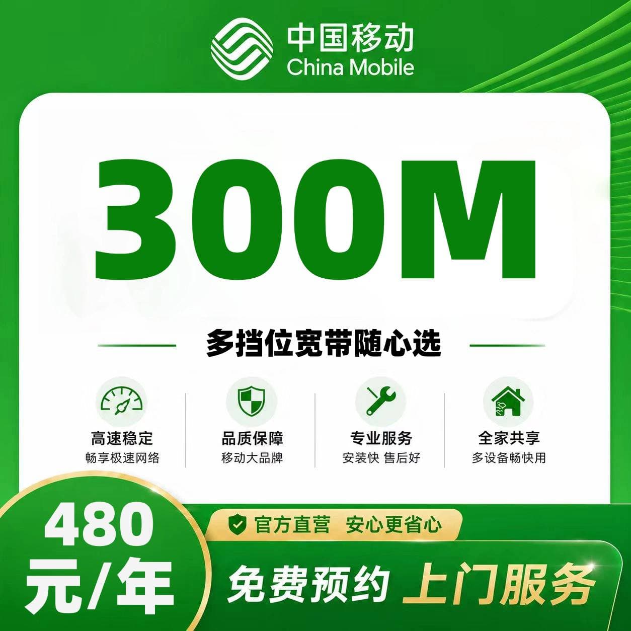 黄石移动单宽【480元300M】