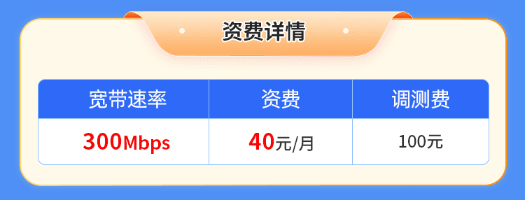 宁夏电信单宽【40元300M1月】 详情图 1