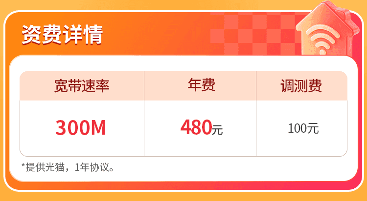 山东联通单宽【480元300M】 详情图 1