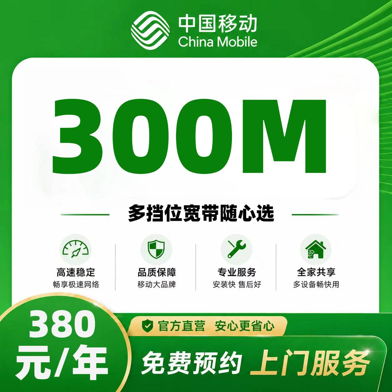 海口移动单宽【380元300M】