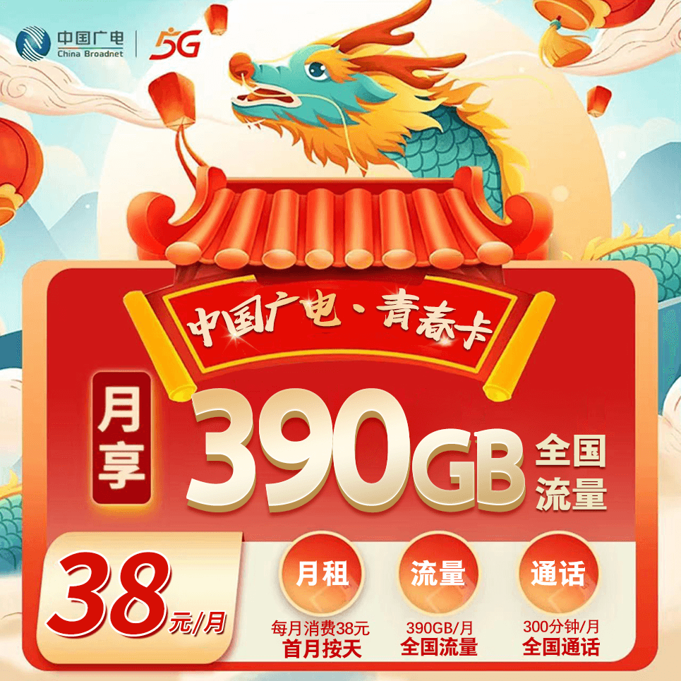 山东广电【38元390G+300分钟】